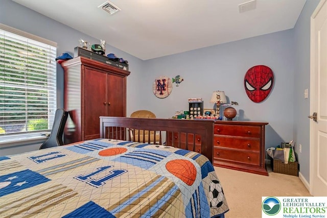 1376 Buck Ridge Dr, Hamilton Twp, PA 18360 - bedroom featuring multiple windows and carpet floors
