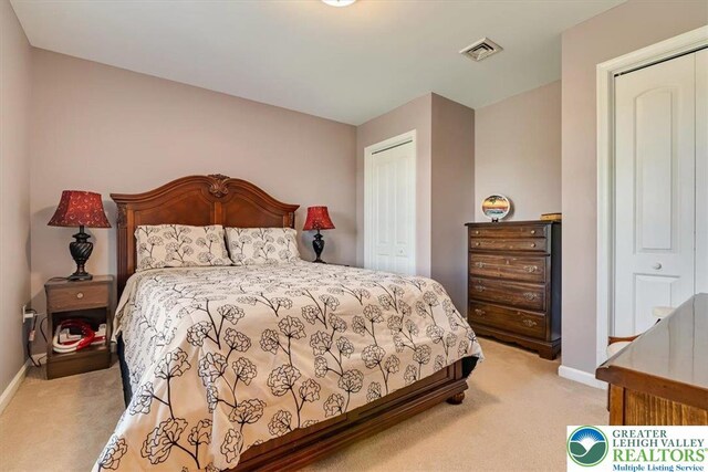 1376 Buck Ridge Dr, Hamilton Twp, PA 18360 - bedroom with light colored carpet and a closet