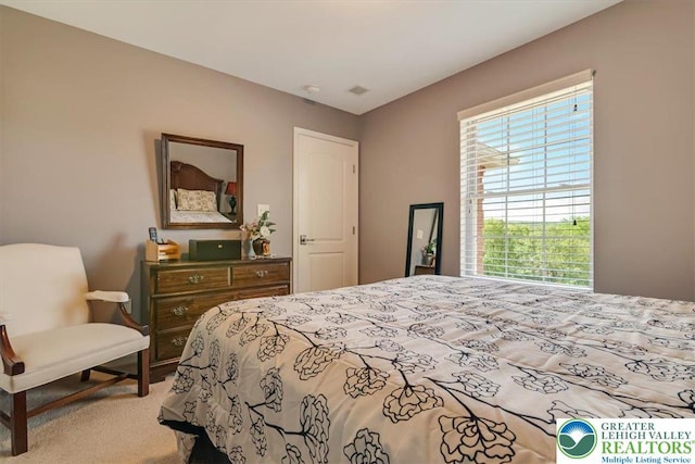 1376 Buck Ridge Dr, Hamilton Twp, PA 18360 - bedroom with carpet