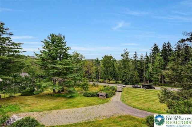 664 Griscom Rd, Barrett Twp, PA 18323 - surrounding community featuring a lawn and a wooded view