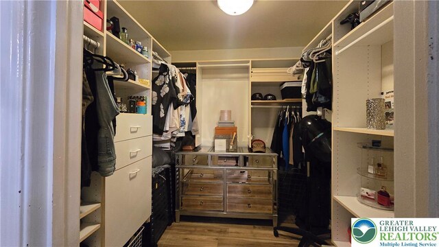 1136 Ashbourne Dr, Muhlenberg Twp, PA 19605 - walk in closet with wood finished floors