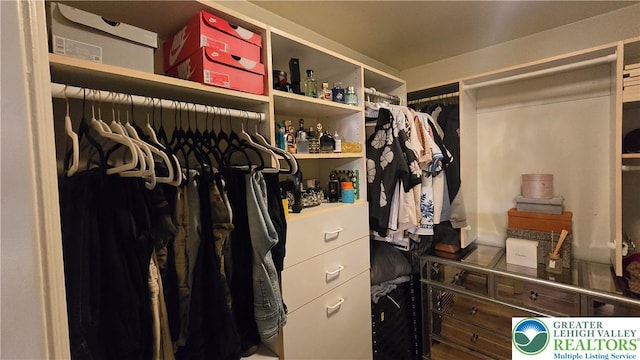 1136 Ashbourne Dr, Muhlenberg Twp, PA 19605 - view of walk in closet