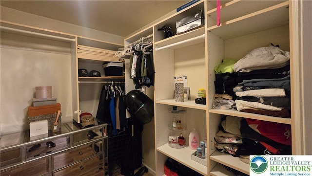 1136 Ashbourne Dr, Muhlenberg Twp, PA 19605 - view of walk in closet