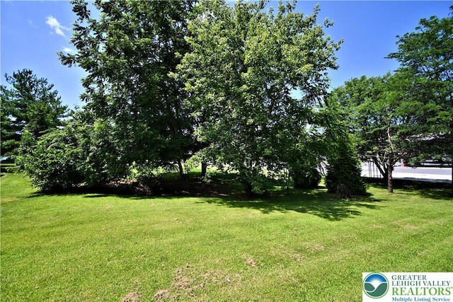5631 Stonecroft Ln, Lower Macungie Twp, PA 18106 - view of green lawn