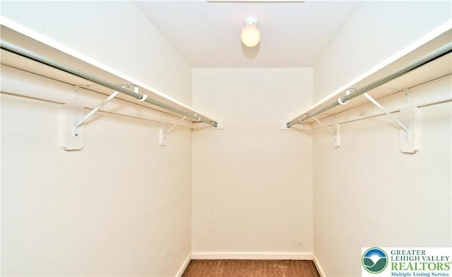 5631 Stonecroft Ln, Lower Macungie Twp, PA 18106 - walk in closet with carpet