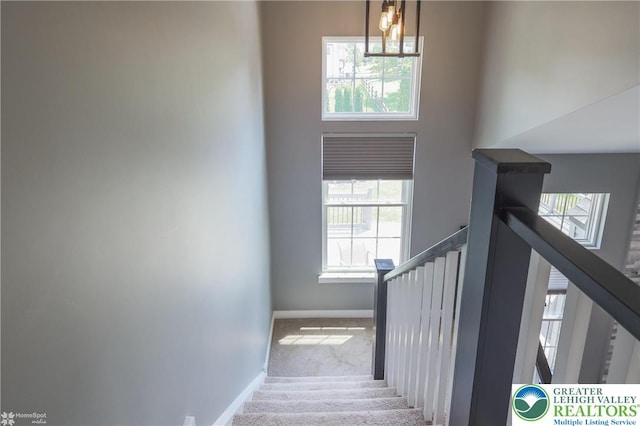 3536 New Hampshire Ave, Bethlehem Twp, PA 18045 - staircase with carpet floors and a high ceiling