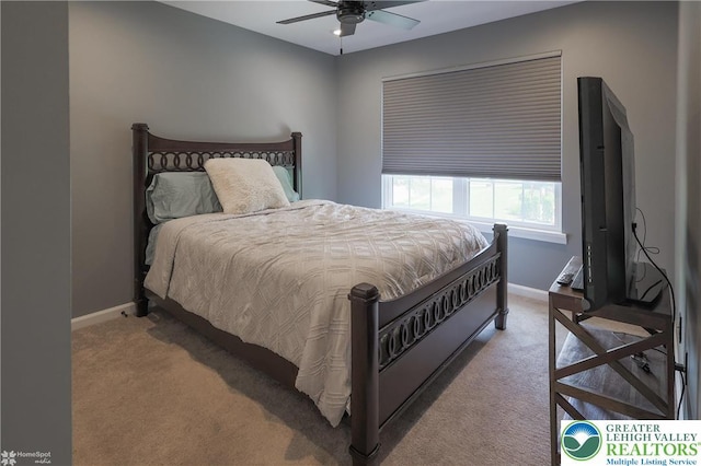 3536 New Hampshire Ave, Bethlehem Twp, PA 18045 - carpeted bedroom with baseboards and ceiling fan