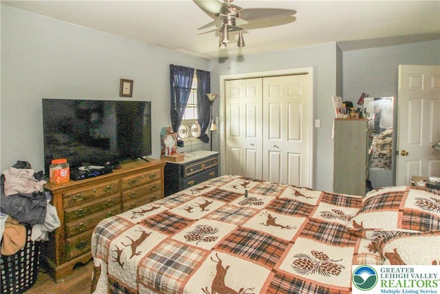 518 Bauer Rd, Moore Twp, PA 18014 - bedroom with a closet and ceiling fan
