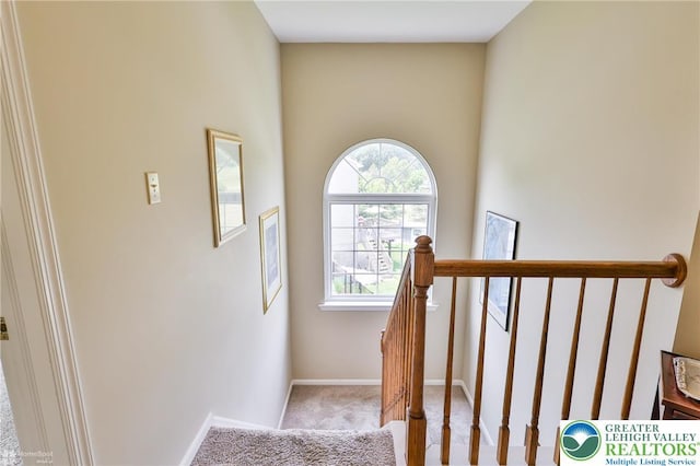 1945 Jenkins Dr, Forks Twp, PA 18040 - staircase with carpet and baseboards