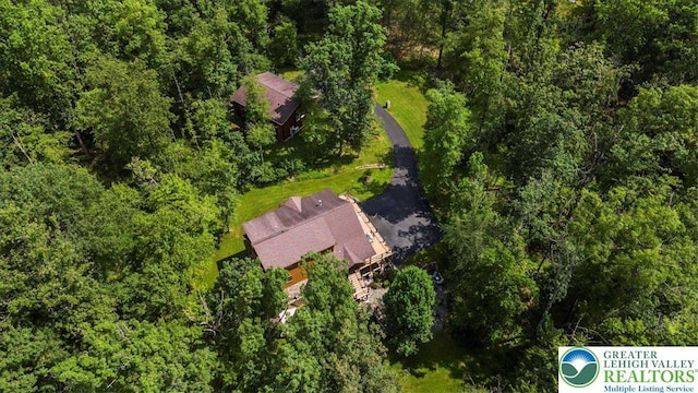 207 W Douglasville Rd, Bushkill Twp, PA 18064 - drone / aerial view of a forest