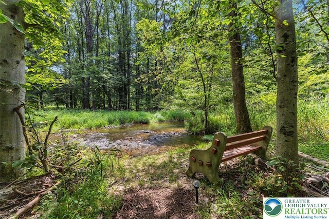 207 W Douglasville Rd, Bushkill Twp, PA 18064 - view of yard featuring a wooded view