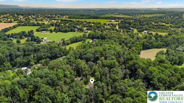 207 W Douglasville Rd, Bushkill Twp, PA 18064 - bird's eye view of a forest