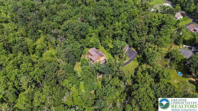 207 W Douglasville Rd, Bushkill Twp, PA 18064 - aerial overview of property's location with a forest