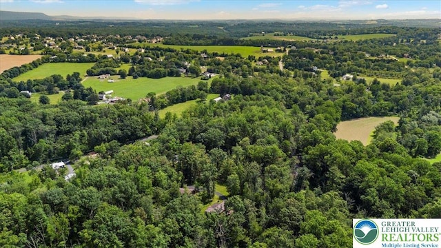 207 W Douglasville Rd, Bushkill Twp, PA 18064 - aerial view of a forest