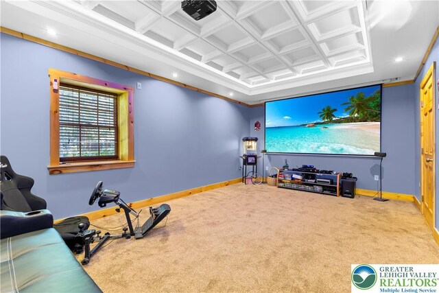 207 W Douglasville Rd, Bushkill Twp, PA 18064 - cinema with carpet, recessed lighting, coffered ceiling, and crown molding
