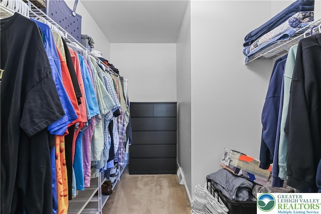 7725 Harbor Ct, Washington Twp, PA 18080 - walk in closet featuring carpet