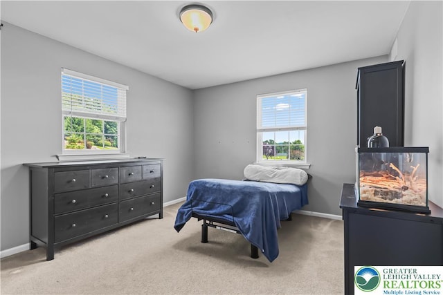 7725 Harbor Ct, Washington Twp, PA 18080 - bedroom featuring light colored carpet