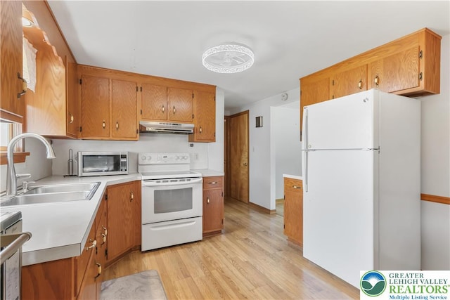 5396 Nor Bath Blvd, East Allen Twp, PA 18067 - kitchen with white appliances, under cabinet range hood, light wood-type flooring, light countertops, and brown cabinets