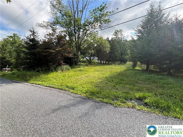 2132 Smith Rd, Hamilton Twp, PA 18360 - view of asphalt street