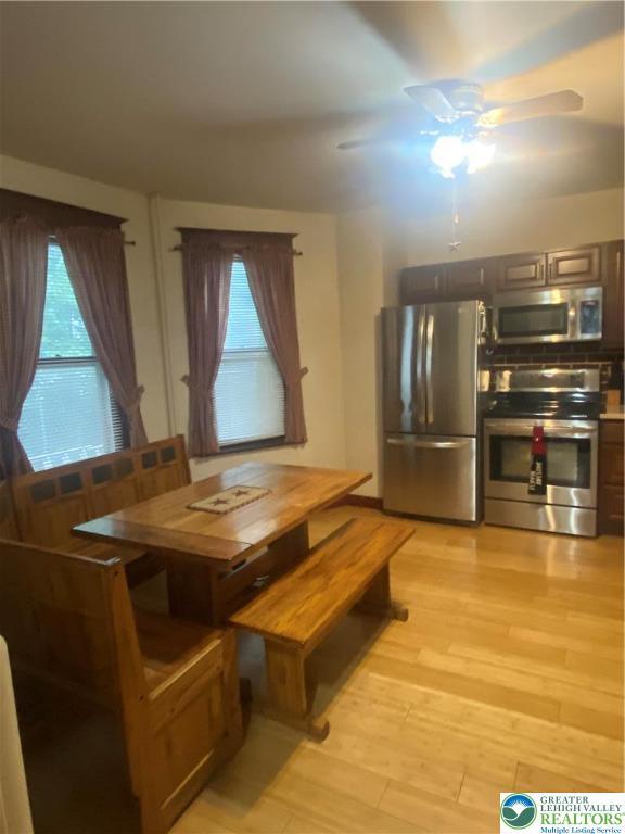 733 Nazareth Pike, Lower Nazareth Twp, PA 18064 - dining space with healthy amount of natural light, a ceiling fan, and light wood-style flooring