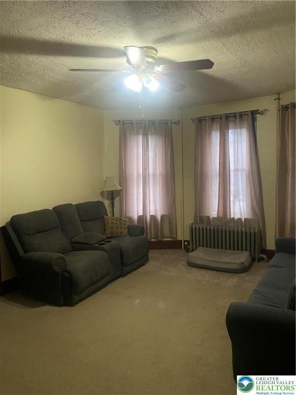 733 Nazareth Pike, Lower Nazareth Twp, PA 18064 - living area with radiator heating unit, a ceiling fan, healthy amount of natural light, a textured ceiling, and carpet floors