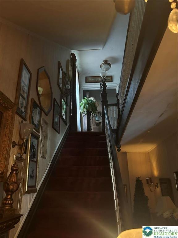 411 Main St, Hellertown Boro, PA 18055 - photo 8