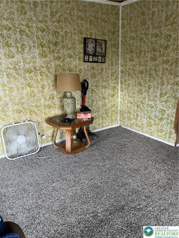 329 Race St, Catasauqua Boro, PA 18032 - photo 6