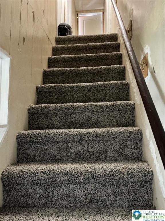 329 Race St, Catasauqua Boro, PA 18032 - photo 10