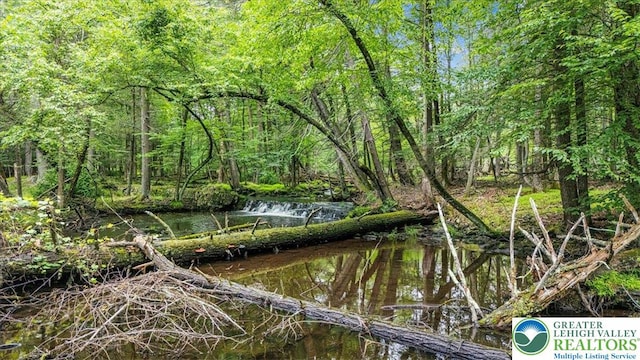 1079 Marshalls Creek Rd, Middle Smithfield Twp, PA 18302 - view of nature