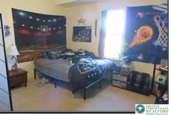 732 Washington Ave, Northampton Boro, PA 18067 - view of bedroom