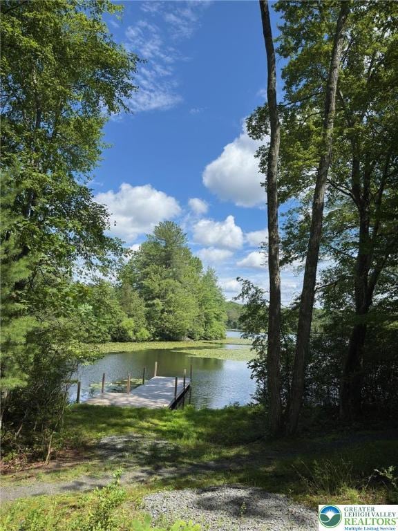 521 Resica Falls Rd, East Stroudsburg, PA 18302 - dock area with a water view