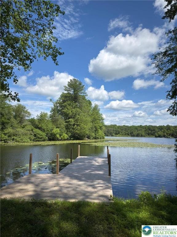 521 Resica Falls Rd, East Stroudsburg, PA 18302 - dock with a water view and a wooded view