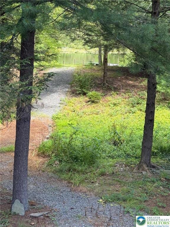 521 Resica Falls Rd, East Stroudsburg, PA 18302 - view of yard with a water view