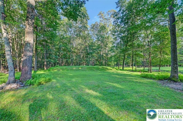 119 Savage Trl, Smithfield Twp, PA 18301 - view of green lawn featuring a forest view