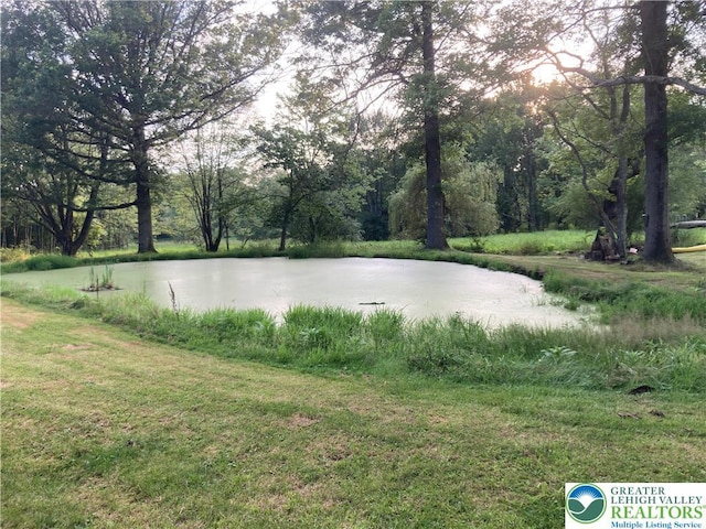 5984 Rte 412, Springfield Twp, PA 18077 - water view