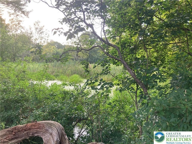 5984 Rte 412, Springfield Twp, PA 18077 - view of local wilderness