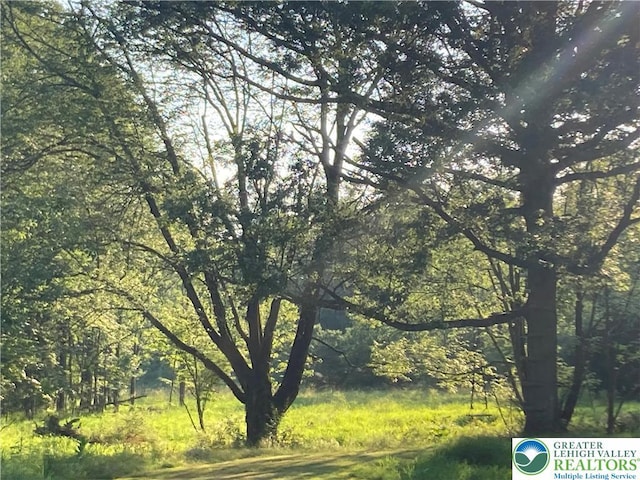 5984 Rte 412, Springfield Twp, PA 18077 - view of wooded area