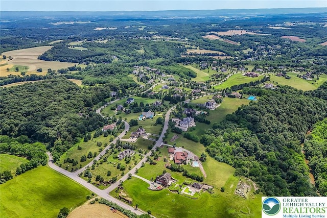 4260 W Wyndemere Cir, Lowhill Twp, PA 18078 - bird's eye view of a forest