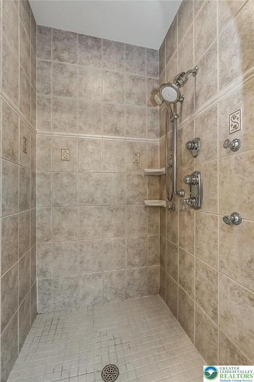 4260 W Wyndemere Cir, Lowhill Twp, PA 18078 - full bathroom with tiled shower