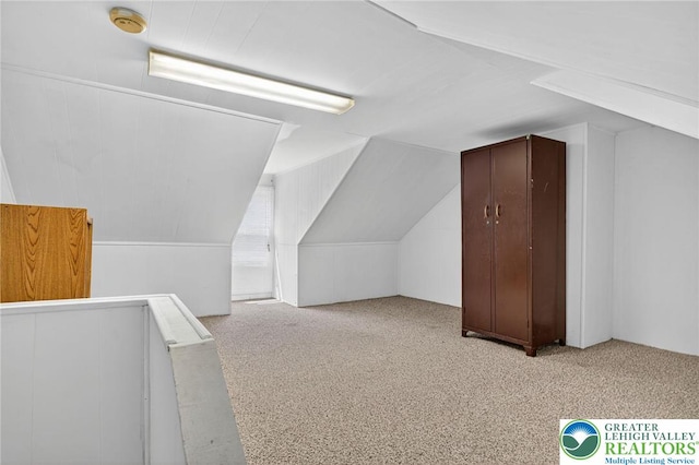 22 N Warren St, Easton, PA 18042 - additional living space featuring lofted ceiling and carpet flooring