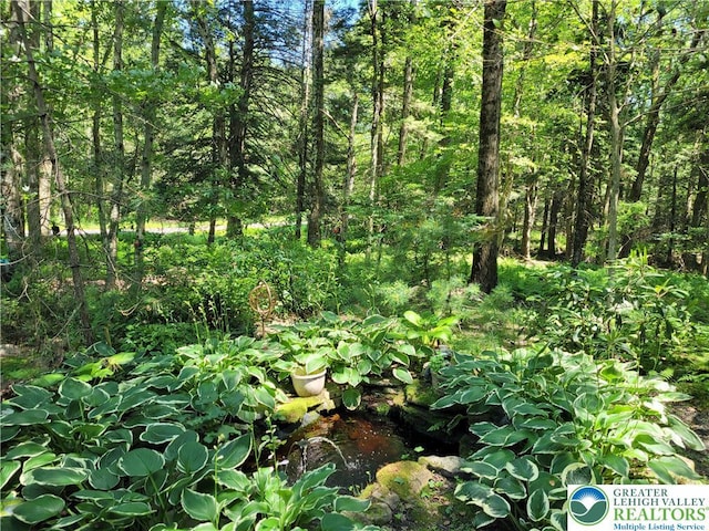 2048 Beaver Run Rd, Tobyhanna Twp, PA 18347 - view of nature