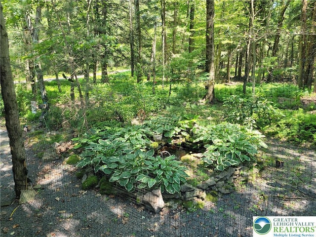 2048 Beaver Run Rd, Tobyhanna Twp, PA 18347 - view of woods