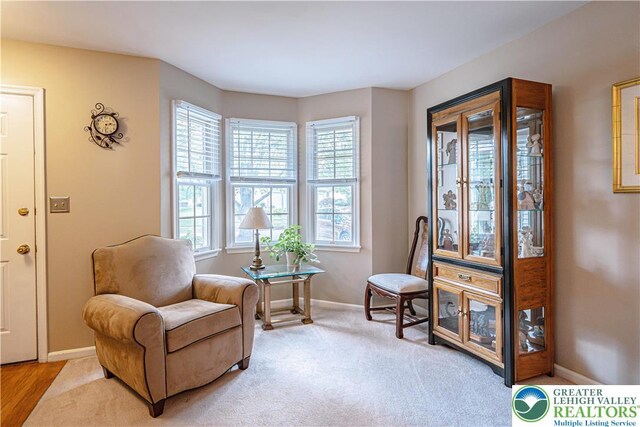 2877 Hope Ridge Dr, Bethlehem Twp, PA 18045 - sitting room featuring plenty of natural light and carpet floors