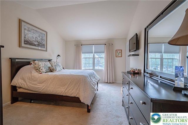 2877 Hope Ridge Dr, Bethlehem Twp, PA 18045 - bedroom featuring lofted ceiling and light carpet
