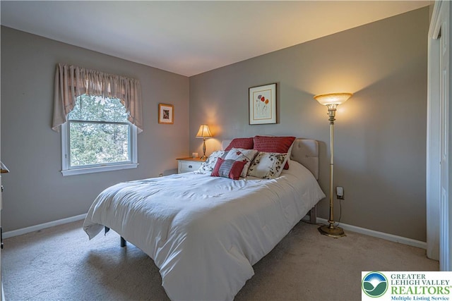 2877 Hope Ridge Dr, Bethlehem Twp, PA 18045 - carpeted bedroom featuring baseboards