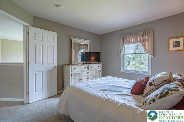 2877 Hope Ridge Dr, Bethlehem Twp, PA 18045 - bedroom featuring carpet and baseboards