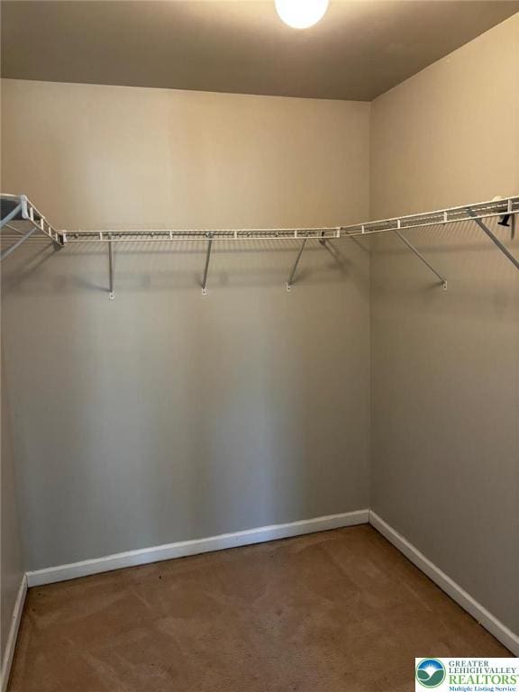 4954 Coatbridge Ln, Lehigh Twp, PA 18088 - walk in closet with carpet floors