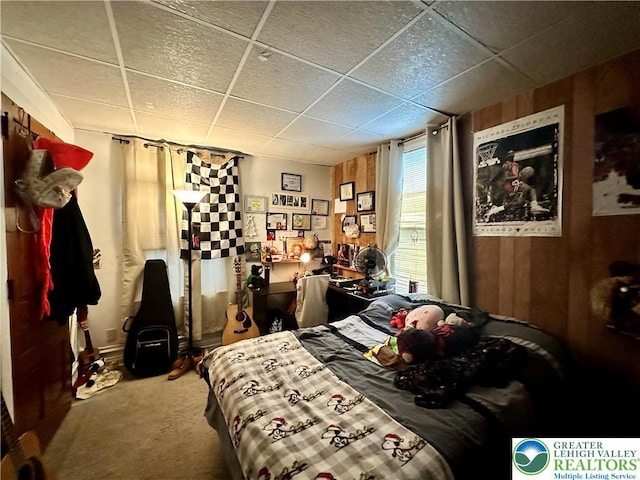 189 W 27th St, Northampton Boro, PA 18067 - carpeted bedroom with a paneled ceiling
