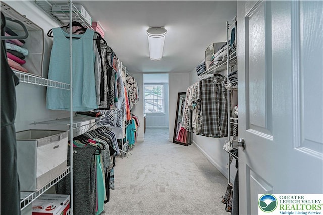 2029 Amherst Dr, Lower Saucon Twp, PA 18015 - spacious closet featuring carpet
