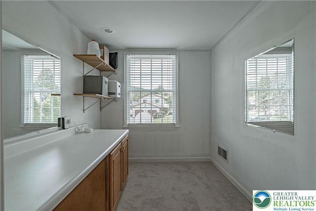 2029 Amherst Dr, Lower Saucon Twp, PA 18015 - laundry room featuring healthy amount of natural light and light carpet